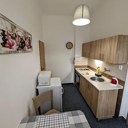 Apartment Gabi Frantiskovy Lazne