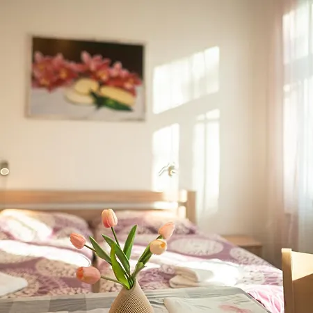 Apartment Gabi *