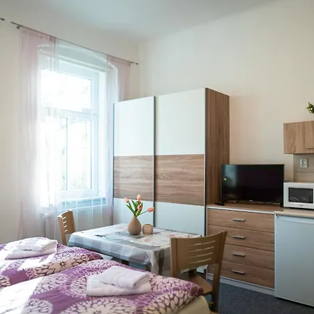 Apartment Gabi Frantiskovy Lazne