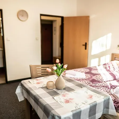 Gabi Apartment Frantiskovy Lazne