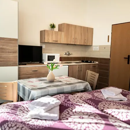 Apartment Gabi Frantiskovy Lazne